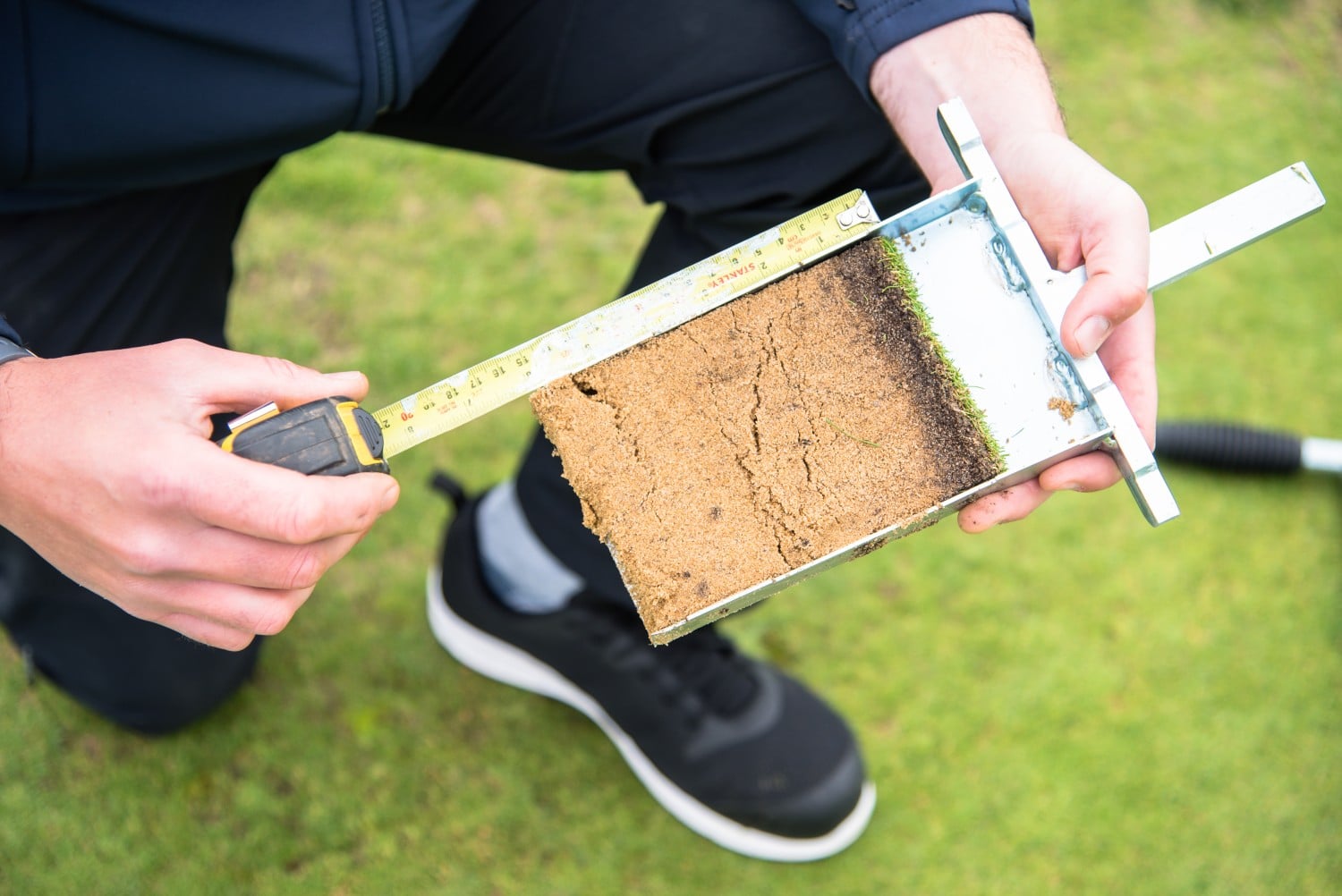 Person measuring a soil sample with a ruler on grass.